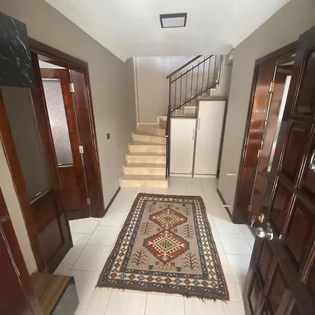 Lavanta Daily Weekly *