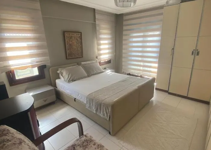 Lavanta Daily Weekly