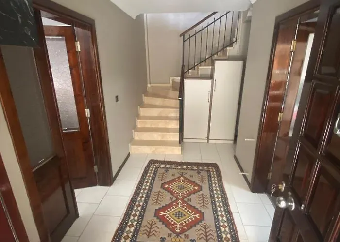 Lavanta Daily Weekly *